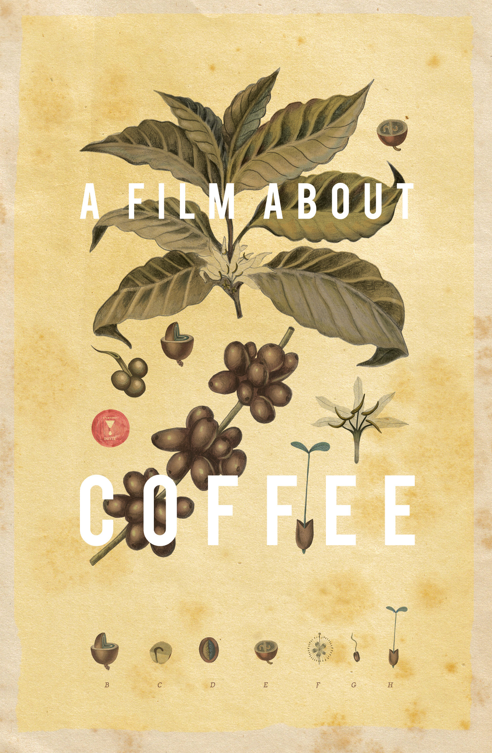A Film About Coffee