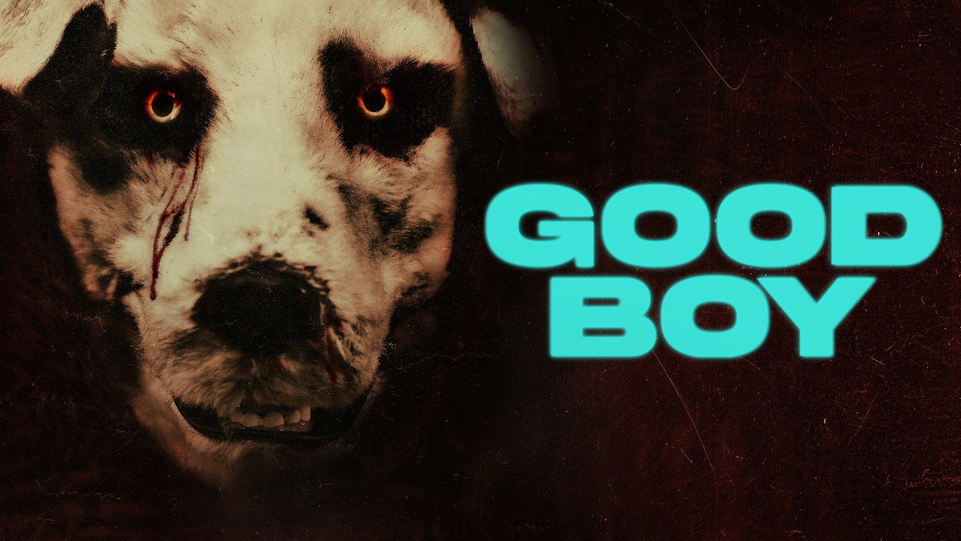 Good Boy: Chó Cưng Đừng Sợ