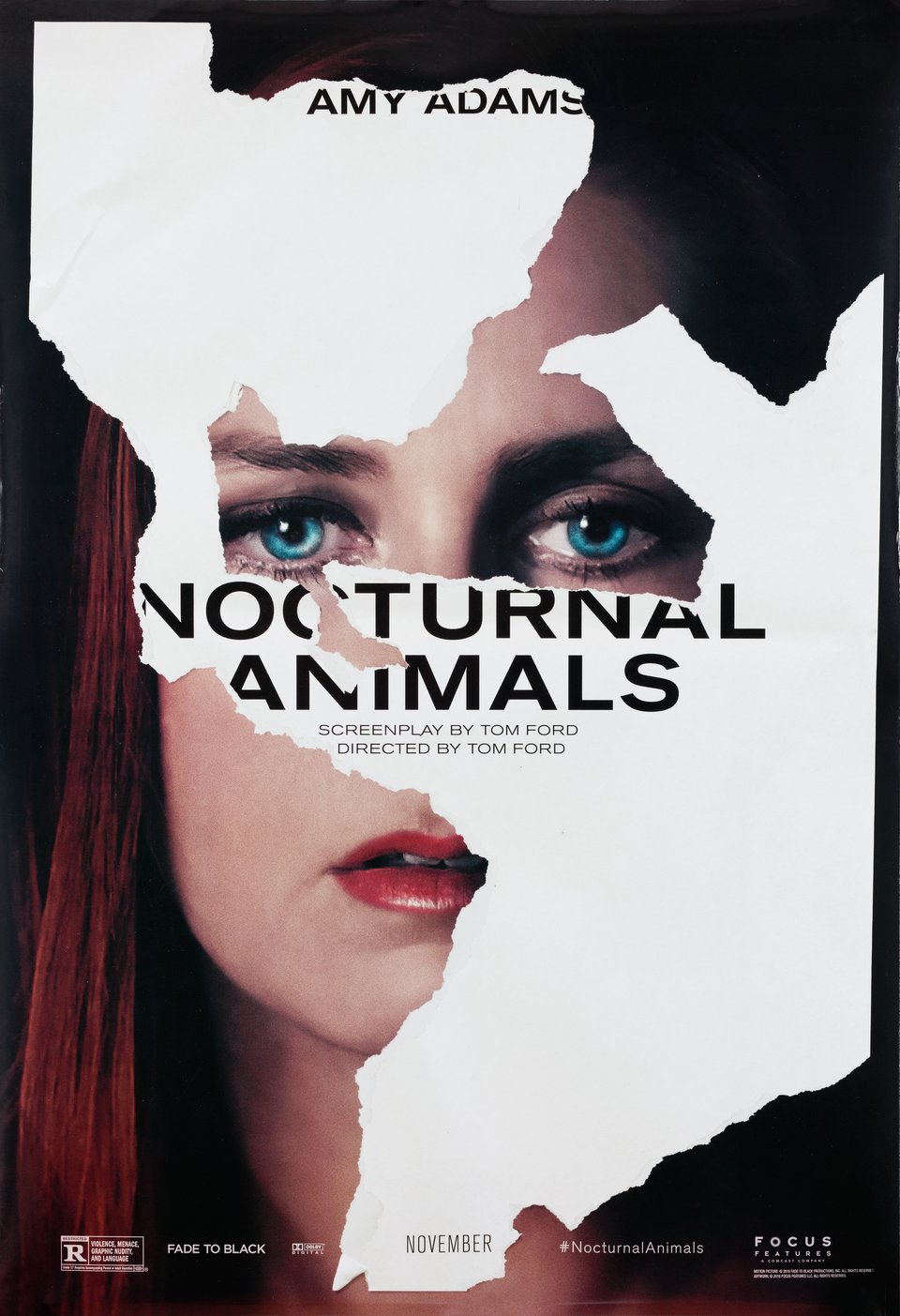 Nocturnal Animals